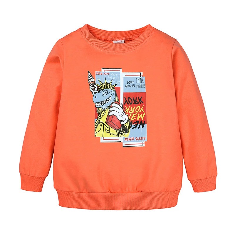 Kids Baby Clothes Cotton Casual Long Sleeve Top 1-8T Boy Hoodies Cartoon Sport Wear