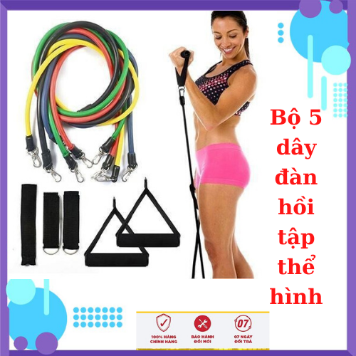 Bộ 5 Dây Đàn Hồi Tập Thể Hình-Bộ 5 Dây Ngũ Sắc Cao Su Tập Thể Dục, Dây Đàn Hồi Kháng Lực Tập Gym