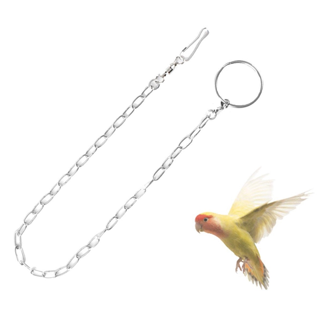 Lắc Chân Xích Đôi Bằng Thép Không Gỉ Cho Chim Daniel Parakeets