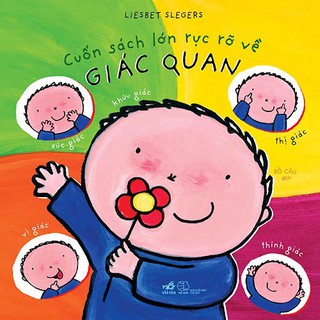 Cuốn Sách Lớn Rực Rỡ Về Giác Quan