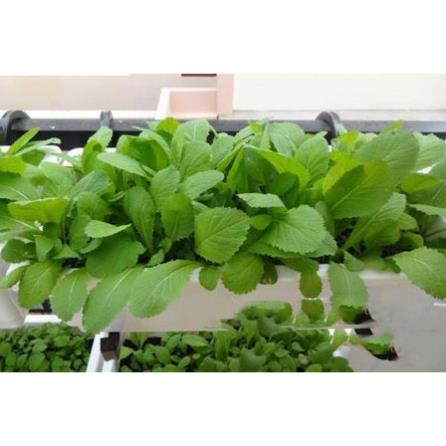 1 bao Đất Sạch Tribat trồng rau sạch, trồng hoa, 20dm3