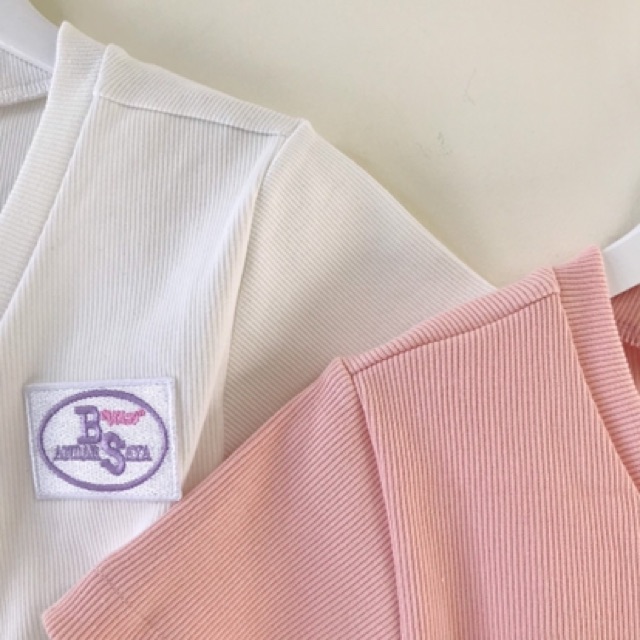 [Mã NOWSHIPT6HAPPY giảm 20k đơn 50k] ( ẢNH THẬT) ÁO CROPTOP BS UNISEX | BigBuy360 - bigbuy360.vn