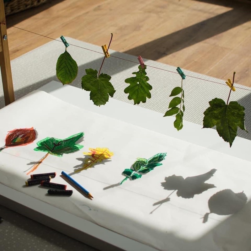 Giá Kẹp Quần Áo Montessori - Thực Hành Cuộc Sống