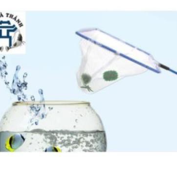 Vợt bắt cá tép số 5