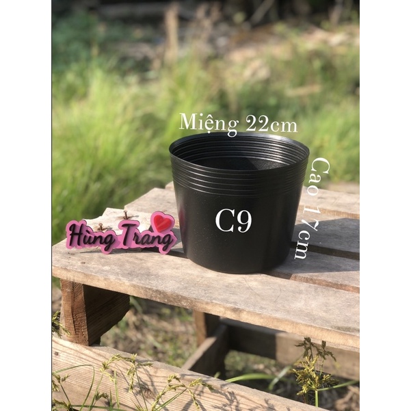 Combo 30 chậu nhựa mềm C9