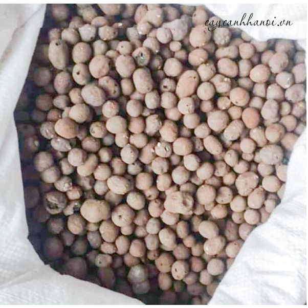 Viên đất nung  - Bao 5dm3  - 2.5kg/túi - hgct3