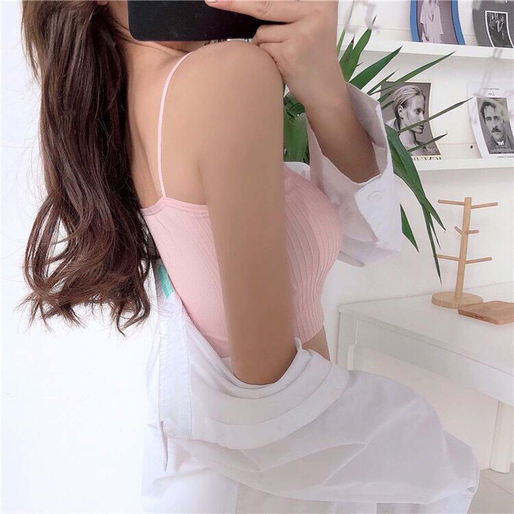 Áo Lót Cotton Có Đệm Ngực / Lưng Phong Cách Hàn Quốc Nhiều Màu Sắc