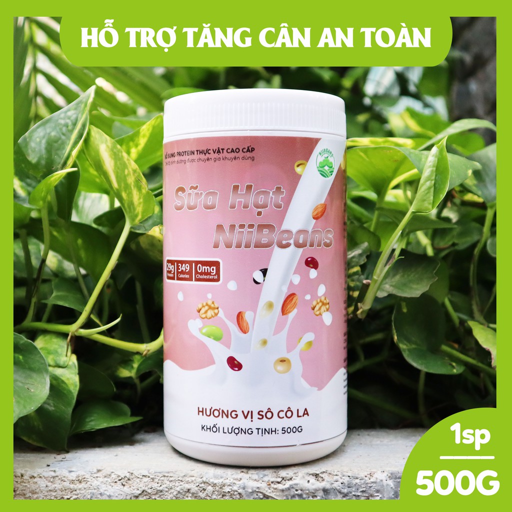 [Tặng bình lắc] Sữa hạt NiiBeans Tăng Cân Tăng Cơ Gymmer hương vị Socola