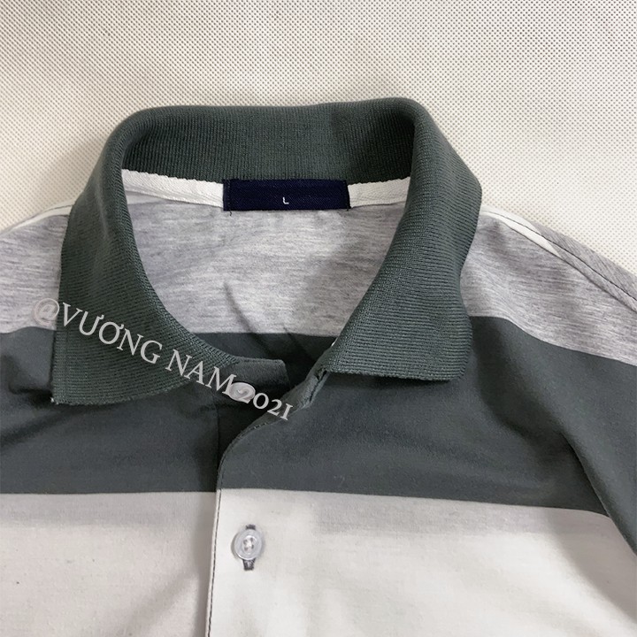 Áo polo nam trung niên vải cotton dày đẹp tay ngắn form rộng cao cấp FF48O