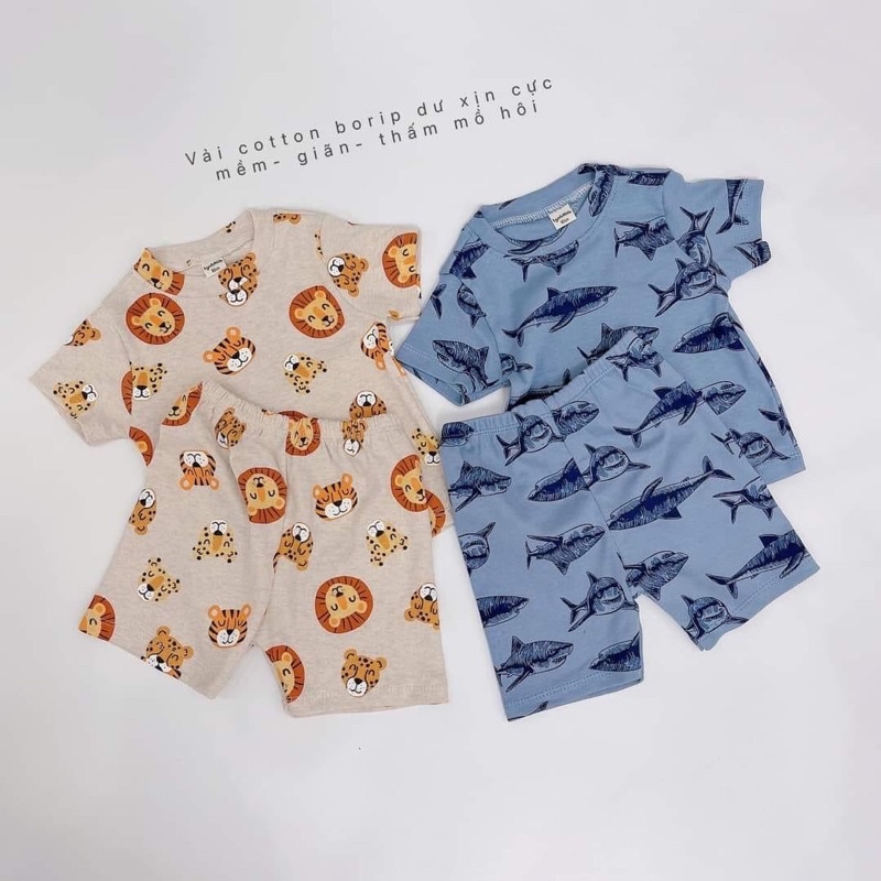 Set bộ sư tử-cá mập