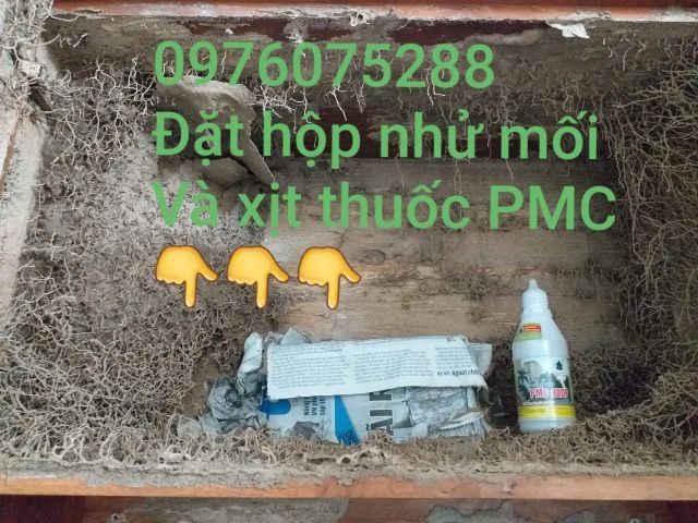 1Hộp nhử mối +1chai Thuốc diệt mối PMC90 dạng bột lây nhiễm diệt tận gốc