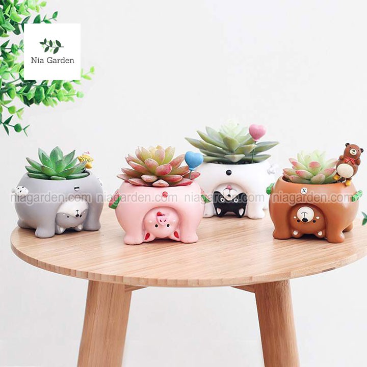 Chậu thú nhựa lộn ngược trồng sen đá xương rồng mini gấu heo chó Nia Garden N4