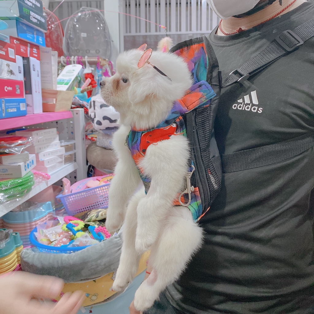 ĐỊU VẬN CHUYỂN CHÓ MÈO, BA LÔ VẬN CHUYỂN CHÓ MÈO