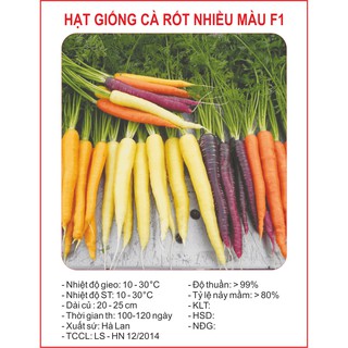 Hạt giống Cà rốt nhiều màu F1 – Gói 0,2g