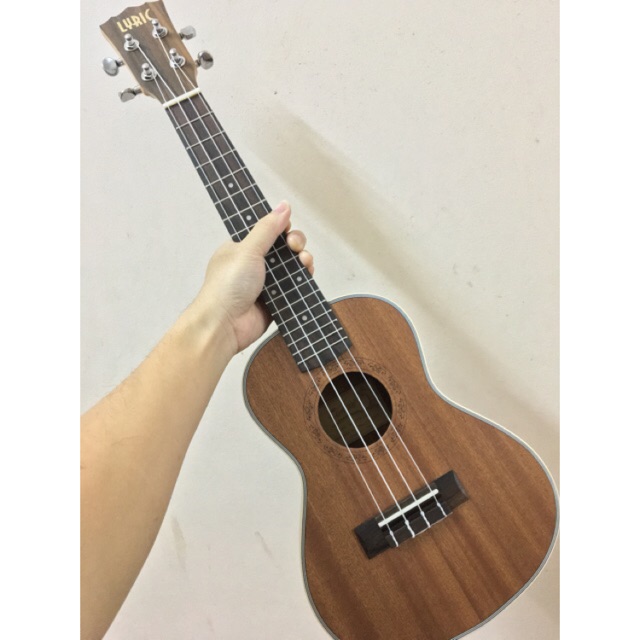 ĐÀN UKULELE CONCERT LYRIC