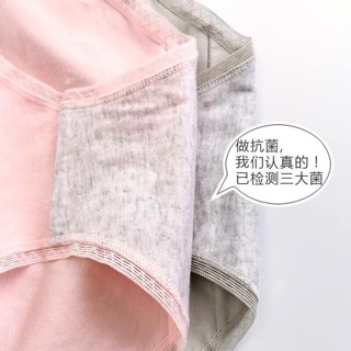 Combo 6 quần chip cotton xuất Nhật