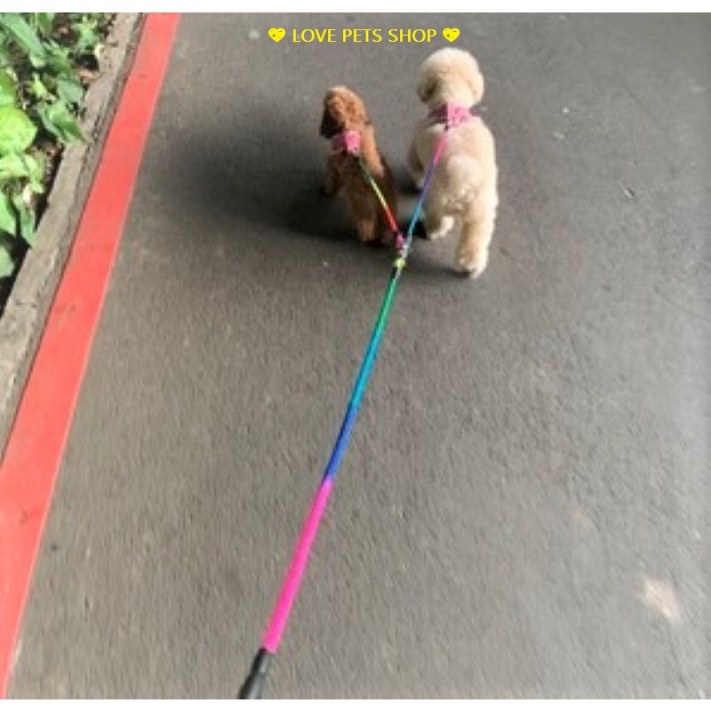 BỘ DÂY DẮT CHÓ MÈO 2 ĐẦU KÈM YẾM BẢY SẮC CẦU VỒNG - LOVE PETS SHOP