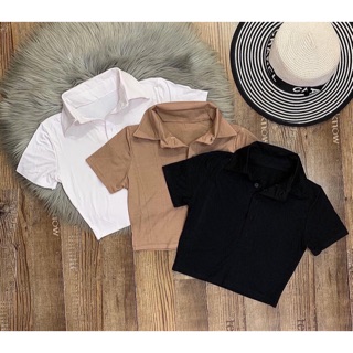 🎈Croptop Body Cổ Bẻ Trơn