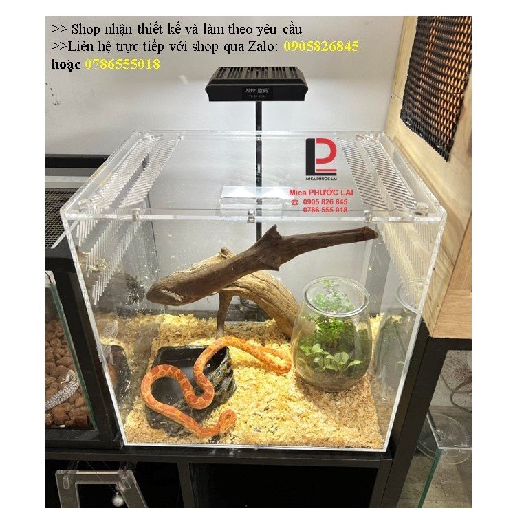 Tank rắn/bò sát cao cấp