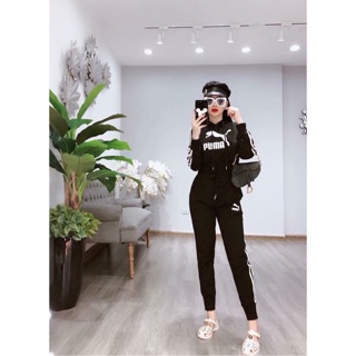 Set bộ puma khoẻ khoắn chất umi dày dặn co giãn❤️❤️❤️❤️❤️❤️❤️❤️❤️❤️❤️❤️❤️❤️❤️❤️❤️❤️❤️❤️❤️❤️❤️❤️❤️❤️❤️❤️❤️❤️❤️❤️❤️❤️❤️❤️.