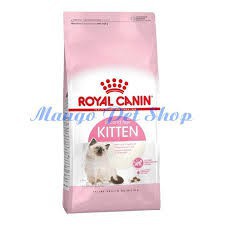 thức ăn hữu cơ cho chó lớn
