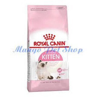 Thức ăn hữu cơ cho chó lớn