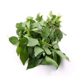 Gói 2g hạt giống Kinh Giới