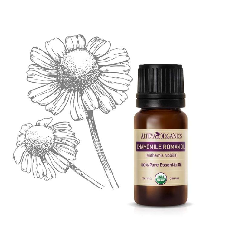 Tinh dầu cúc mẫu thảo hữu cơ 10ml
