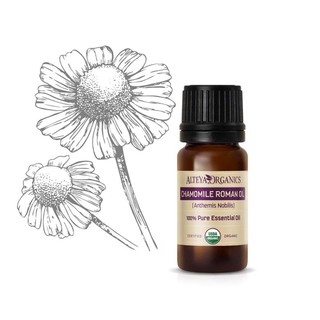 Tinh dầu cúc mẫu thảo hữu cơ 10ml