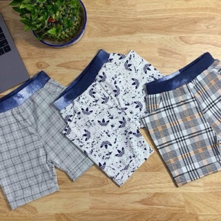Combo 5 áo ba lỗ
