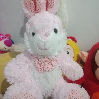 Gấu của chị luan