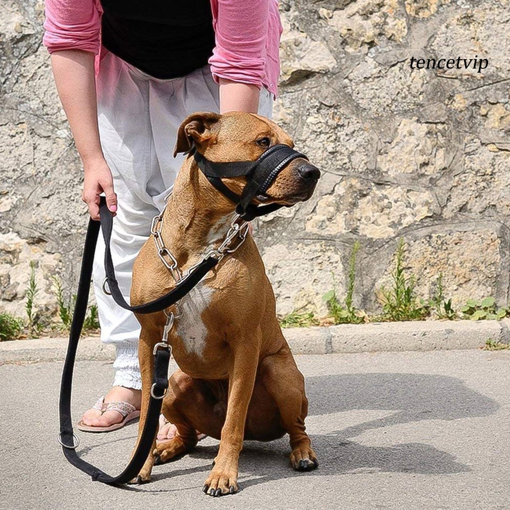 Rọ mõm chó cưng bằng nylon chống cắn có thể điều chỉnh tiện dụng tùy chọn màu sắc