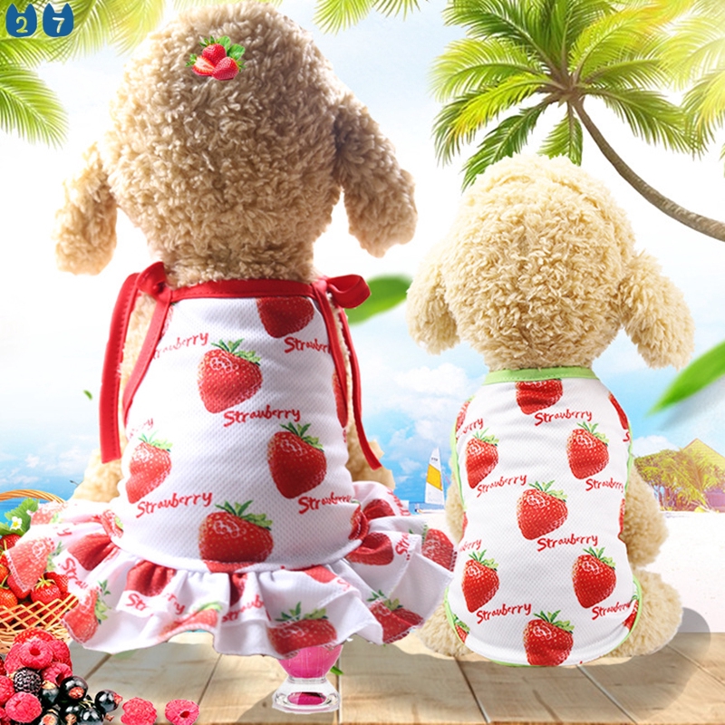 Đầm thun cotton in họa tiết trái cây dễ thương thời trang cho thú cưng