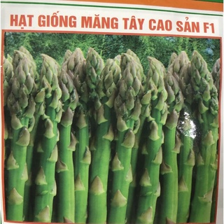 Hạt giống măng tây xanh ☘️