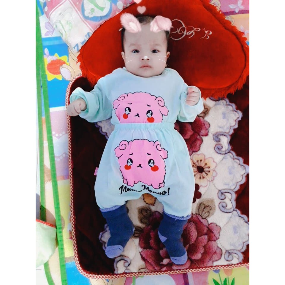 HÀNG LOẠI 1 - Set 5 bộ dài mèo cotton 2 chiều cho bé từ 3-14kg