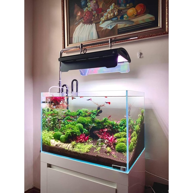 BỘ CÁP VÀ KẸP TREO INOX ĐA  NĂNG CHO ĐÈN WRGB2, TRIPH, METAL CHO BỂ CÁ, BỂ THỦY SINH