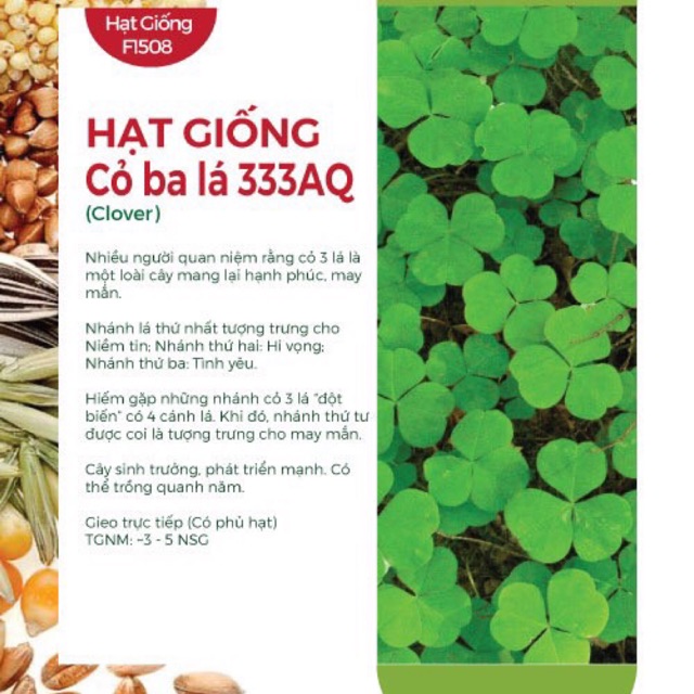 Hạt Giống Cỏ Ba Lá (Cỏ May Mắn)