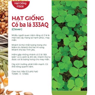 Hạt Giống Cỏ Ba Lá (Cỏ May Mắn)