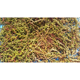 trái đủng đỉnh khô 1kg