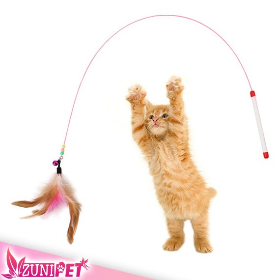 Cần câu mèo lông vũ vui nhộn - Đồ chơi cho mèo