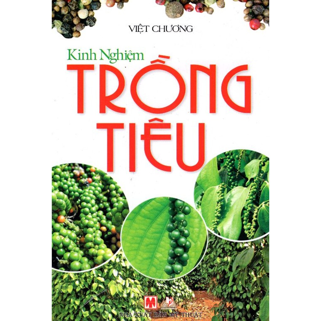 Sách - Kinh Nghiệm Trồng Tiêu (Tái Bản)