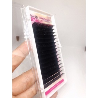 Mi khay Nối Classic - Lông mi khay độ D cong chuẩn - bắt keo nhanh - Hani