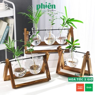 Kệ gỗ lọ thuỷ tinh bóng đèn, chậu xích đu 1,2,3 lọ trang trí vintage