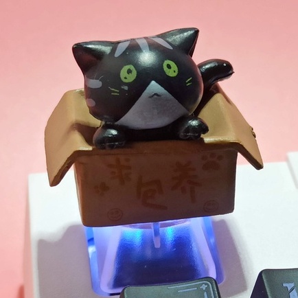 Nút Bàn Phím Cơ Bằng ABS In Hình Mèo Dễ Thương Có Đèn Nền Cho ESC kaih cherry MX