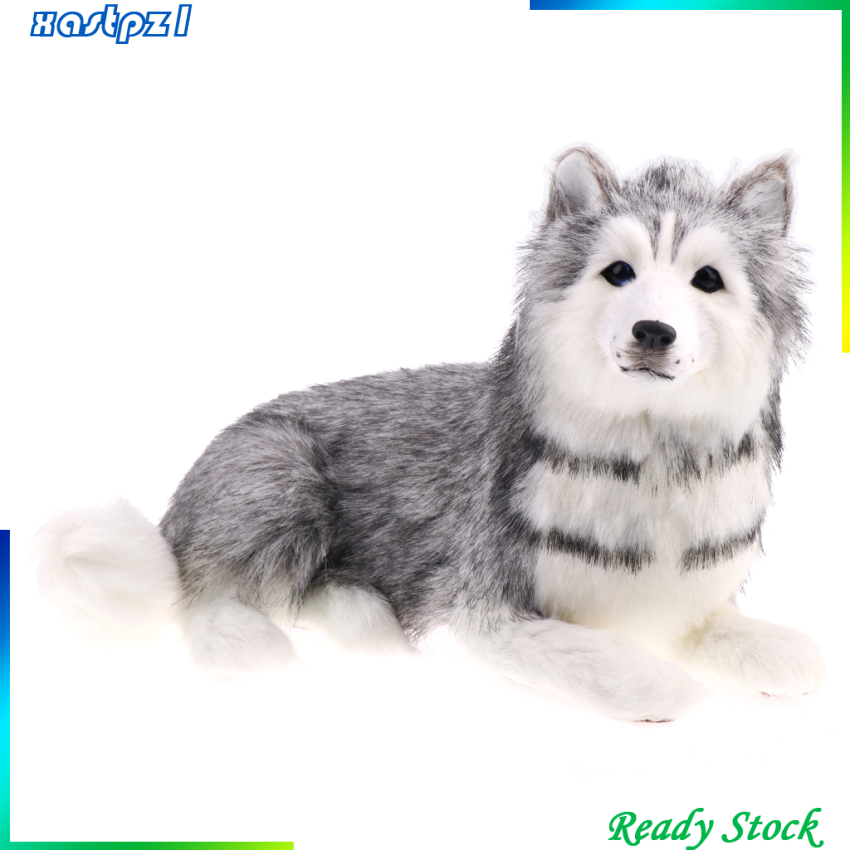 Chó Husky Nhồi Bông Xinh Xắn Dùng Để Trang Trí Nội Thất / Sân Vườn