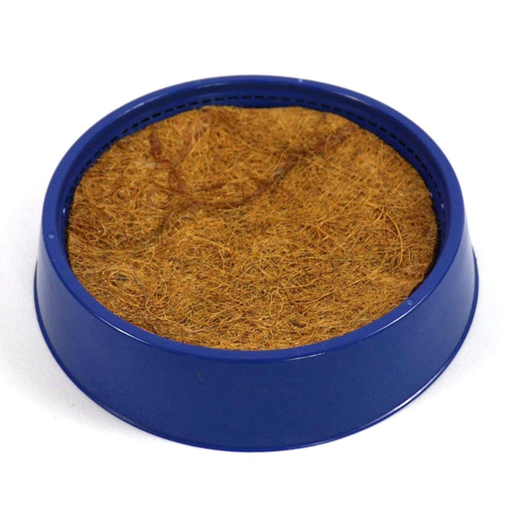 Hộp Bắt Chim Bằng Nhựa Cỡ Nhỏ Chuyên Dùng