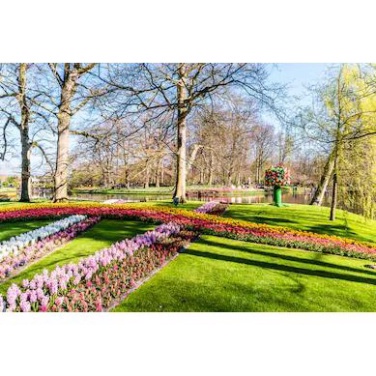 Tranh dán tường Tranh vườn hoa tulip sáng tạo, tranh dán tường 3d hiện đại (tích hợp sẵn keo)