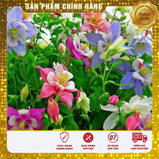 Hạt Giống Hoa Bồ Câu Mix