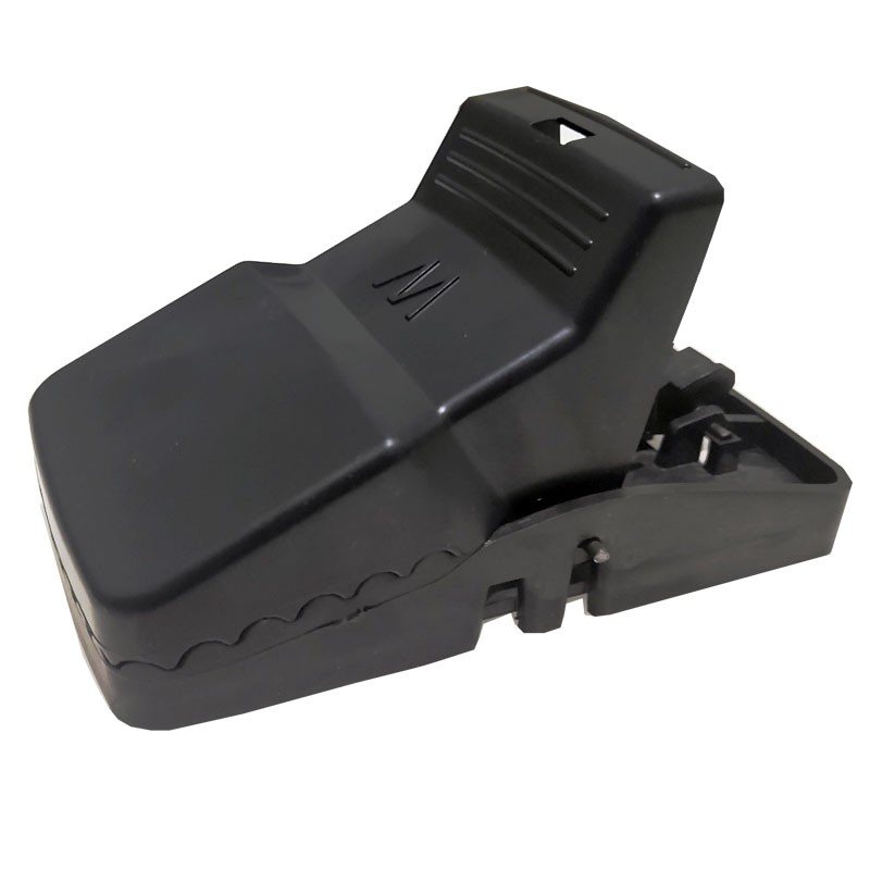 Cạm Chuột Siêu Hot Cạm Siêu Nhanh - SẢN PHẨM TREND