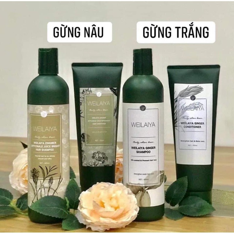 CẶP GỘI GỪNG XẢ WELAIYA MINI Chính Hãng